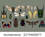 set of insects  beetles ... | Shutterstock .eps vector #2175403077