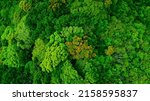 Small photo of Green natural forest aerial view. Environment concept.