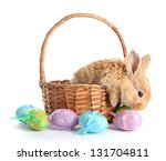 Fluffy Foxy Rabbit In Basket...