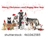 Christmas Dog Santa Hat Free Stock Photo - Public Domain Pictures