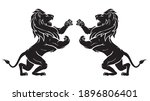 lion upright attack  wildlife... | Shutterstock .eps vector #1896806401