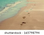 Footprints On Sand Beach Along...