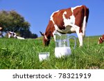 Jug Of Milk Against Herd Of...