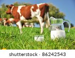 Cow And Jug Of Milk. Emmental...