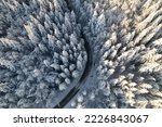 AERIAL TOP DOWN: Winding mountain road in the embrace of snow-covered forest. View of curved roadway leading through beautiful winter woodland with spruce treetops covered with freshly fallen snow.