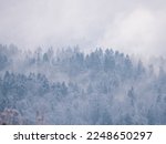 Snowy forest treetops peeking through misty remains of winter snowstorm clouds. Beautiful winter view of lush forested hilly landscape after fresh snowfall with snow-covered trees hiding in mist.