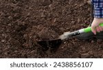 Small photo of Farmer, gardener, man, woman in rubber boots dig earth with shovel in garden, in field, on farm. Concept of organic farming. Farmer dig soil in garden with shovel, digs grass with a shovel. Gardening