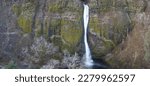 The beautiful Horsetail Falls is located on the Oregon side of the Columbia River Gorge. This magnificent natural wonder, along with many other waterfalls, is just a 30 minute drive east of Portland.