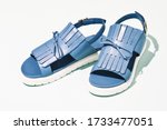 a pair blue sandals isolated  | Shutterstock . vector #1733477051