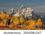 Small photo of Autumn view of aspens and Teton Range, Grand Teton National Park, Wyoming