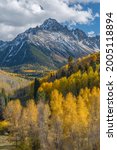 Small photo of USA, Colorado. San Juan Mountains, Uncompahgre National Forest, Mt. Sneffels rises beyond autumn colored narrowleaf cottonwood and quaking aspen trees.
