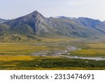 Usa, alaska, gates of the arctic national park, noatak river. arctic tundra landscape at the confluence with igning river.