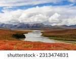 Usa, alaska, noatak national preserve. arctic tundra in autumn colors along the noatak river.