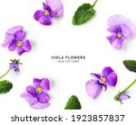 Viola Pansy Flower Creative...