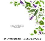 Small photo of Rosemary, mint, lavender, marjoram, sage, lemon balm and thyme layout Creative frame with fresh herbs on white background. Top view, flat lay. Healthy eating and alternative medicine concept