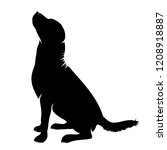 vector silhouette of dog on... | Shutterstock .eps vector #1208918887