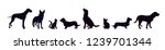vector silhouette of dog set on ... | Shutterstock .eps vector #1239701344