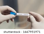 soft focus hands of a lab... | Shutterstock . vector #1667951971