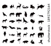 collection of vector silhouette ... | Shutterstock .eps vector #1892792164