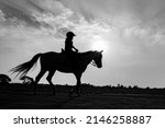 Silhouette of child riding...