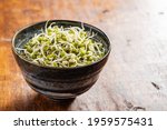 Sprouted green mung beans. Mung sprouts in bowl on wooden table.