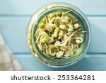 Sprouted mung beans in jar