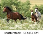 Herd Of Running Horses