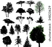 vector trees | Shutterstock . vector #34823629