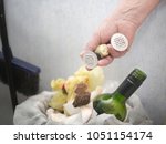 Small photo of Closeup of a rubbish bin and female handb throwing waste away