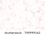 vector pattern. white marble... | Shutterstock .eps vector #749999161