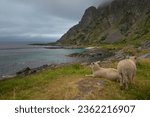 Stunning coastal scenery near Andenes, Andøya Island, Vesterålen Islands, Nordland, Norway
