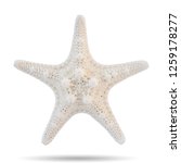 Starfish Isolated On White...
