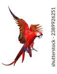 Red macaw scarlet macaw parrot...