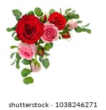 Red and pink rose flowers with...
