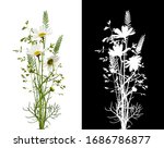 Bouquet of daisy flowers and grass isolated on white with its white silhouette isolated on black. 