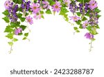 Floral arch with ivy leaves and ...