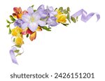 Colorful freesia flowers and...
