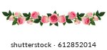 pink rose flowers and buds line ... | Shutterstock . vector #612852014