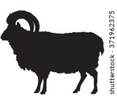 Sheep Black Silhouette Free Stock Photo - Public Domain Pictures