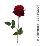 Dark Red Rose Isolated On White ...