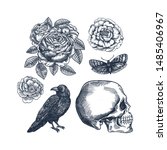 Raven  Flowers  Human Skull And ...