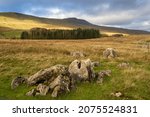 Small photo of Whernside is a mountain in the Yorkshire Dales in Northern England. It is the highest of the Yorkshire Three Peaks, the other two being Ingleborough and Pen-y-ghent