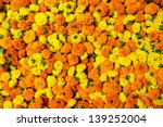 Marigold Flowers Garland...