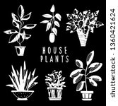 House Plants White Hand Drawn...