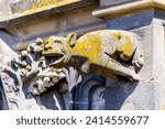 Small photo of DEN BOSCH, THE NETHERLANDS - JUNE 3, 2023: Gargoyle on St. Jan's cathedral overlooking the city of Den Bosch, Netherlands, against a clear blue sky.