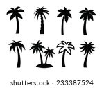 Vector Black Palm Icon On White ...