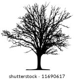 tree  vector  | Shutterstock .eps vector #11690617