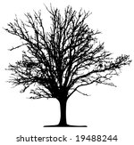 vector tree | Shutterstock .eps vector #19488244