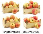 Small photo of fresh cooking apples(two on the left),fresh Maribelle apples and "honey crunch" apples in a wooden crate on a white background