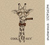 Vector Illustration Of Giraffe...